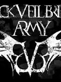 BVB army